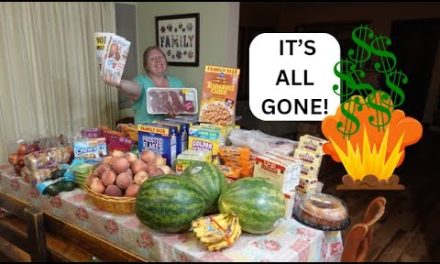 I've TOTALLY BLOWN the Budget! Weekly Sale Ads vs. Walmart Prices